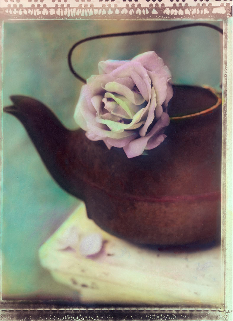 Iron Pot and Rose
