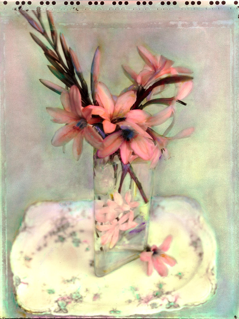 Watsonia