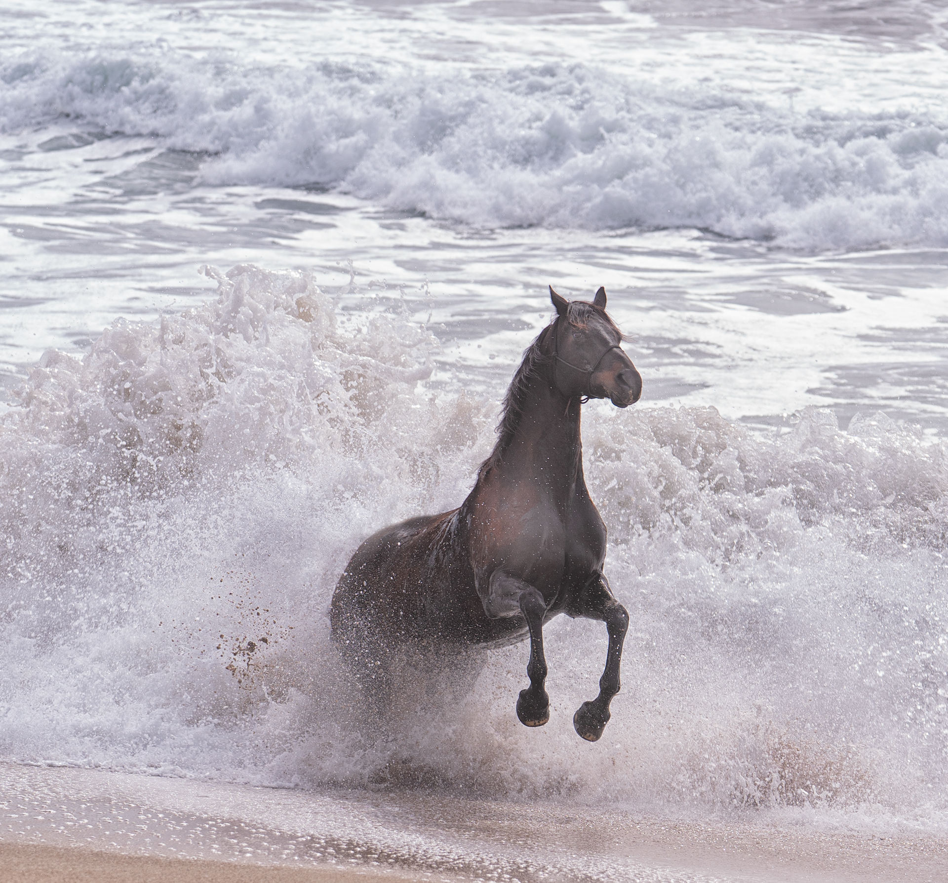Morgan - Beach