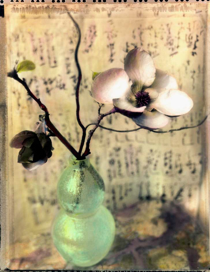 Magnolia - Vase