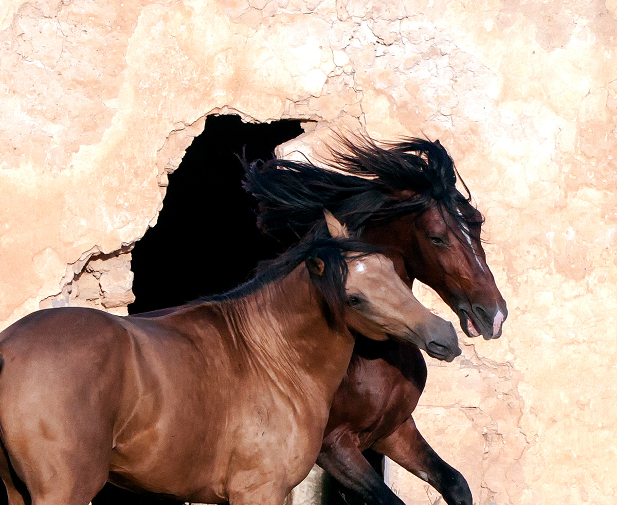 Black Hole - Pasha & Ouardi