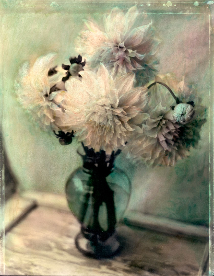 Green Dahlia