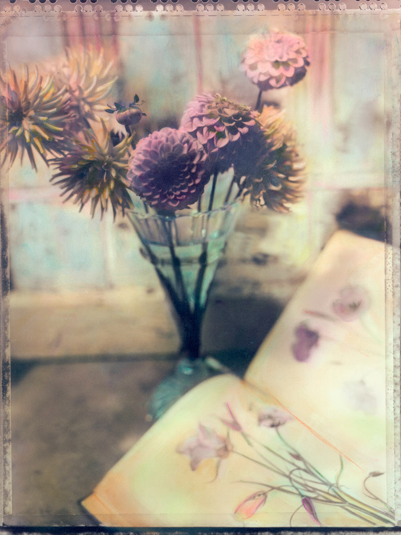 Sandy's Dahlias