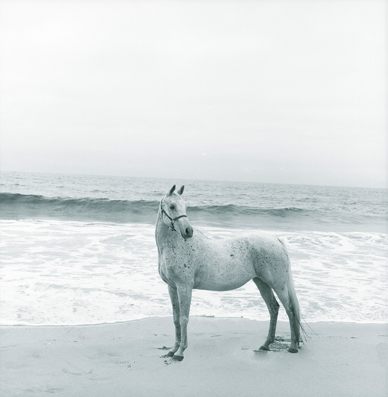 Carley - Beach 1