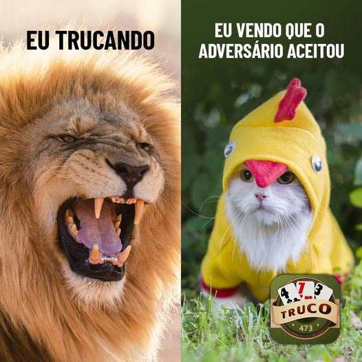 Truco 473 - Diz que joga truco? Então diz aí, o que você