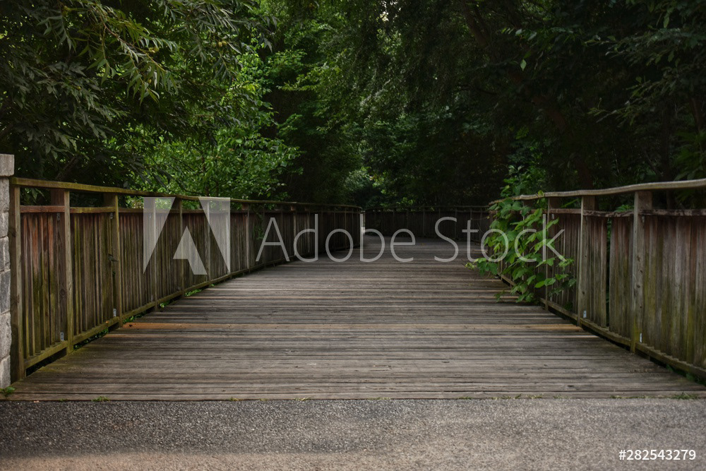 Piedmont Park Walkway