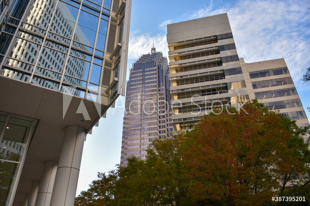 Midtown Atlanta Cityscape