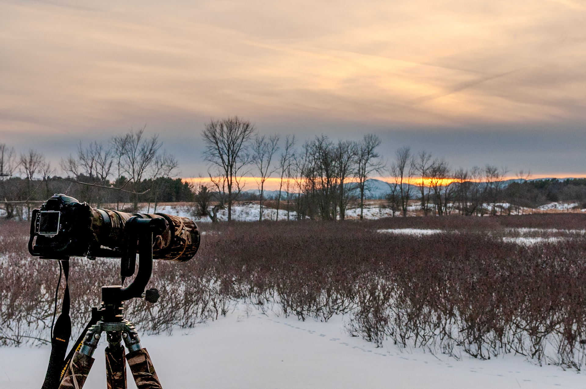 48 mm f/8.0 at 1/500 sec 0 EV 640 ISO ©Steven Mermelstein. All rights reserved. #20090104170422