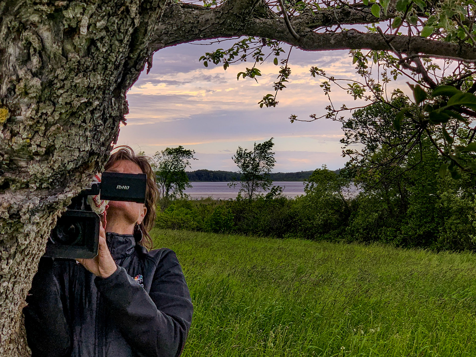 70 mm f/2.4 at 1/270 sec 0 EV 16 ISO ©Steven Mermelstein. All rights reserved. #20190604171515
