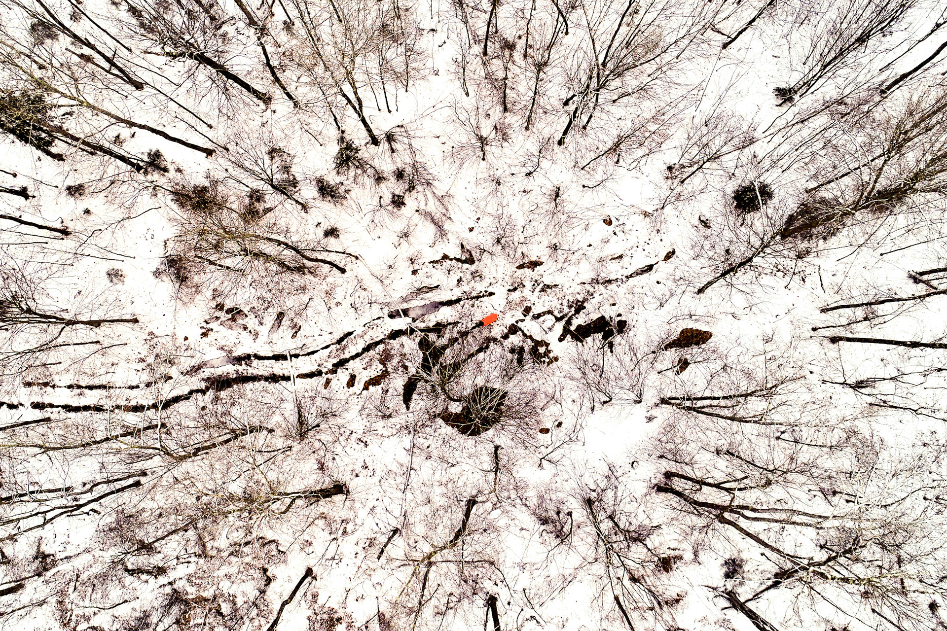 A twenty-two-year-old horse named Milo busted through the fencing of its pasture and was missing for four days. Just hours after being called in to help search for the horse, Vermont Drone located it in the last few minutes of daylight.