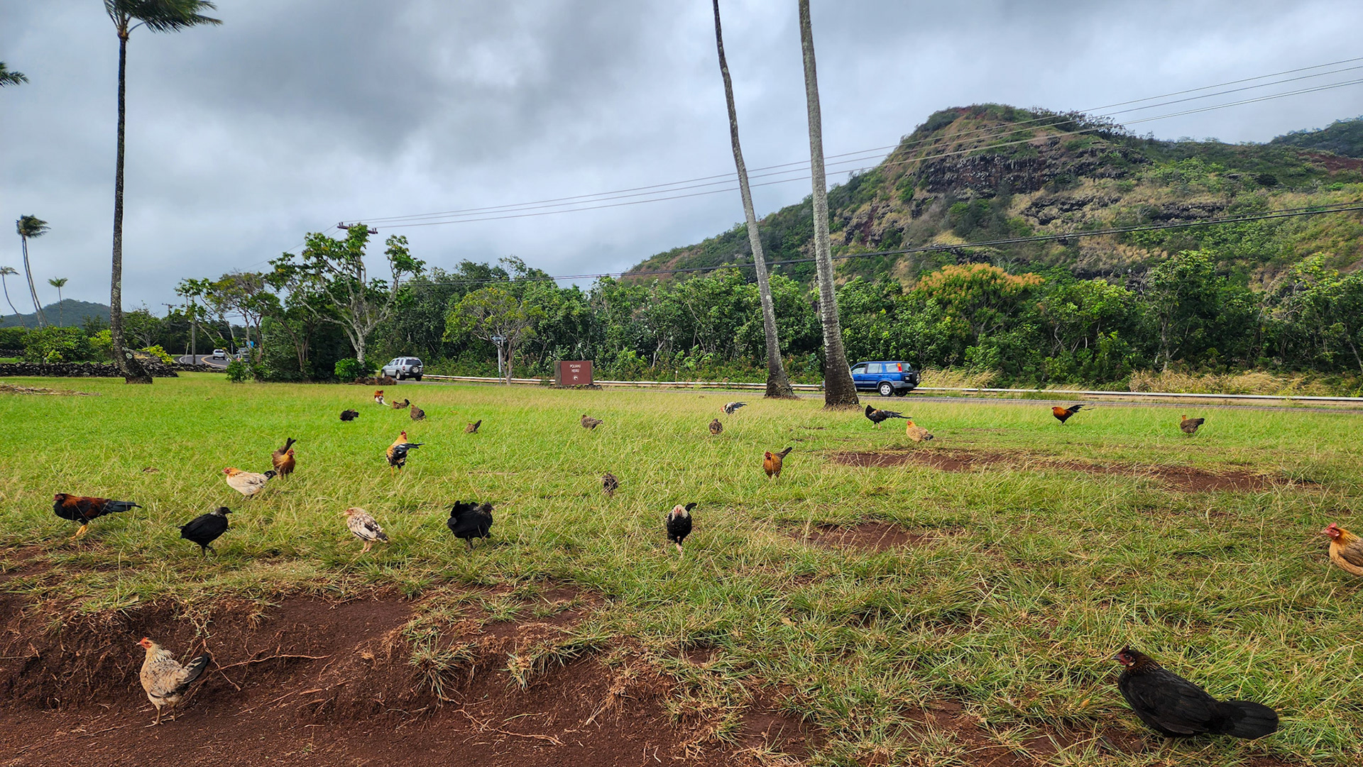 Poliahu Heiau, Wailua, Kaua'i, Hawai'i