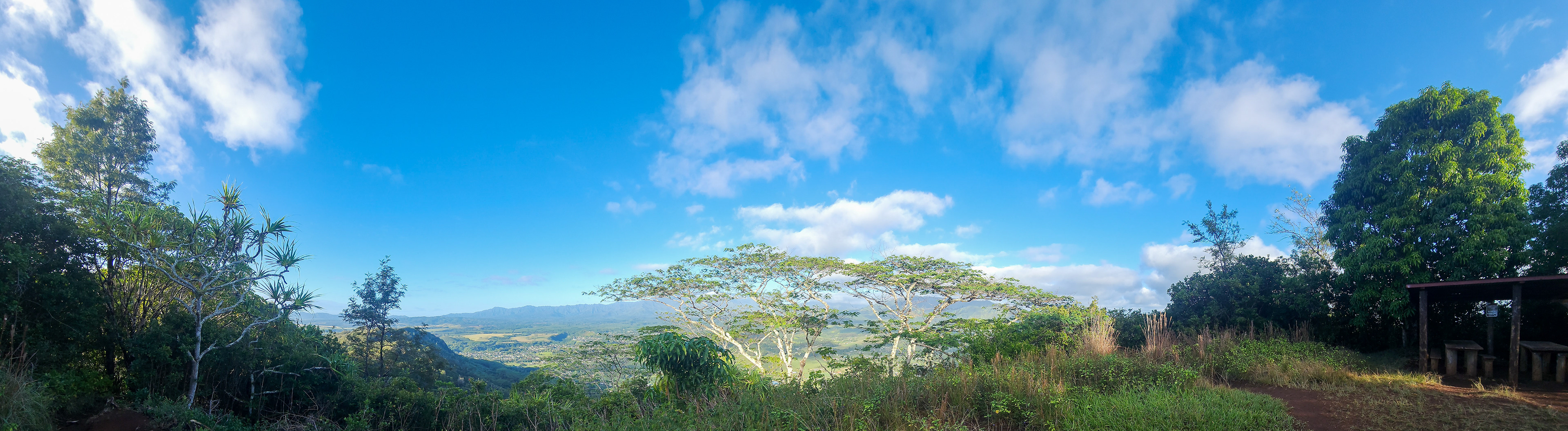 Views from the Sleeping Giant, Nounou Preserve, Kaua'i, Hawai'i