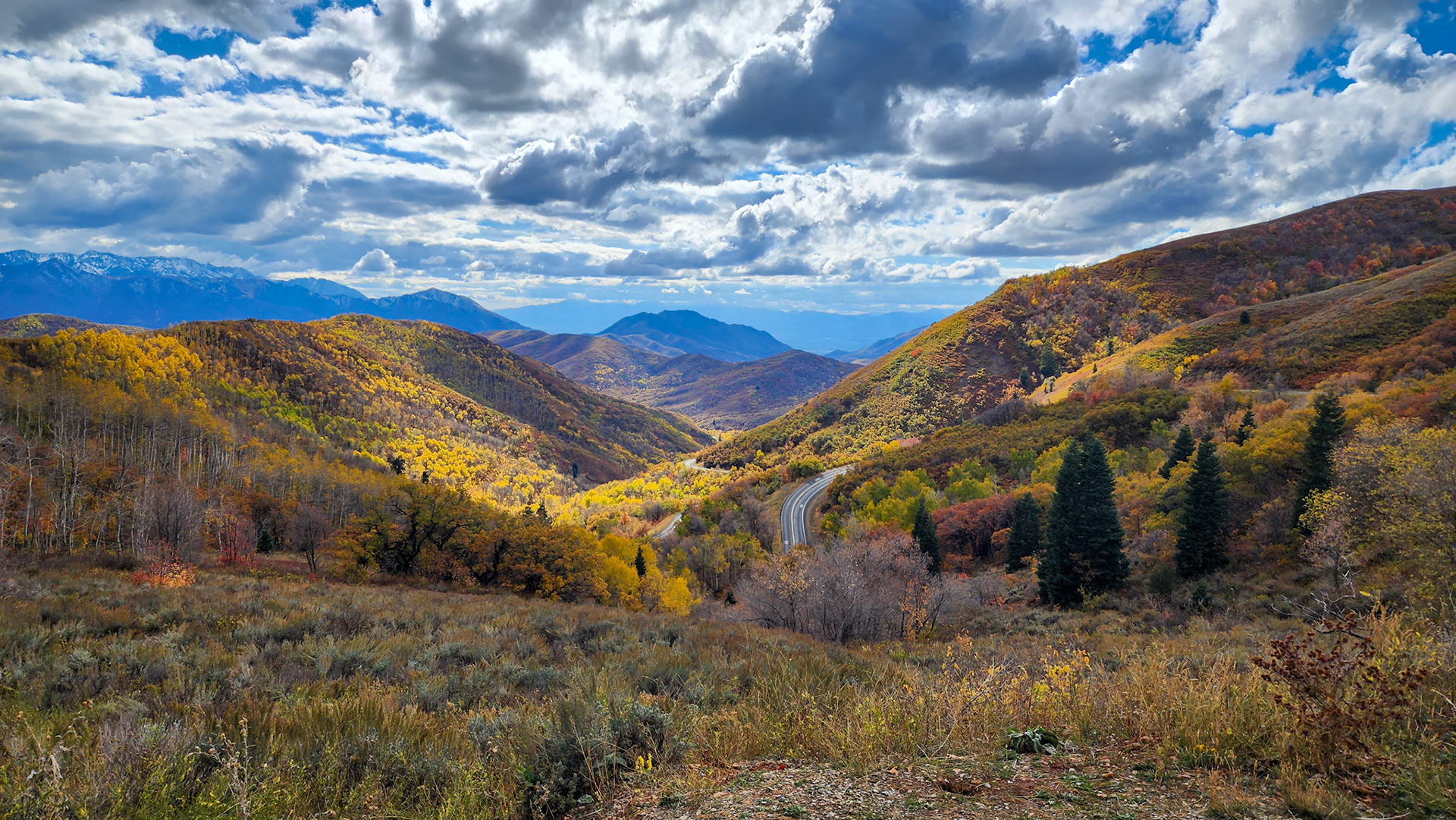 Fall Colors above Holladay, Utah