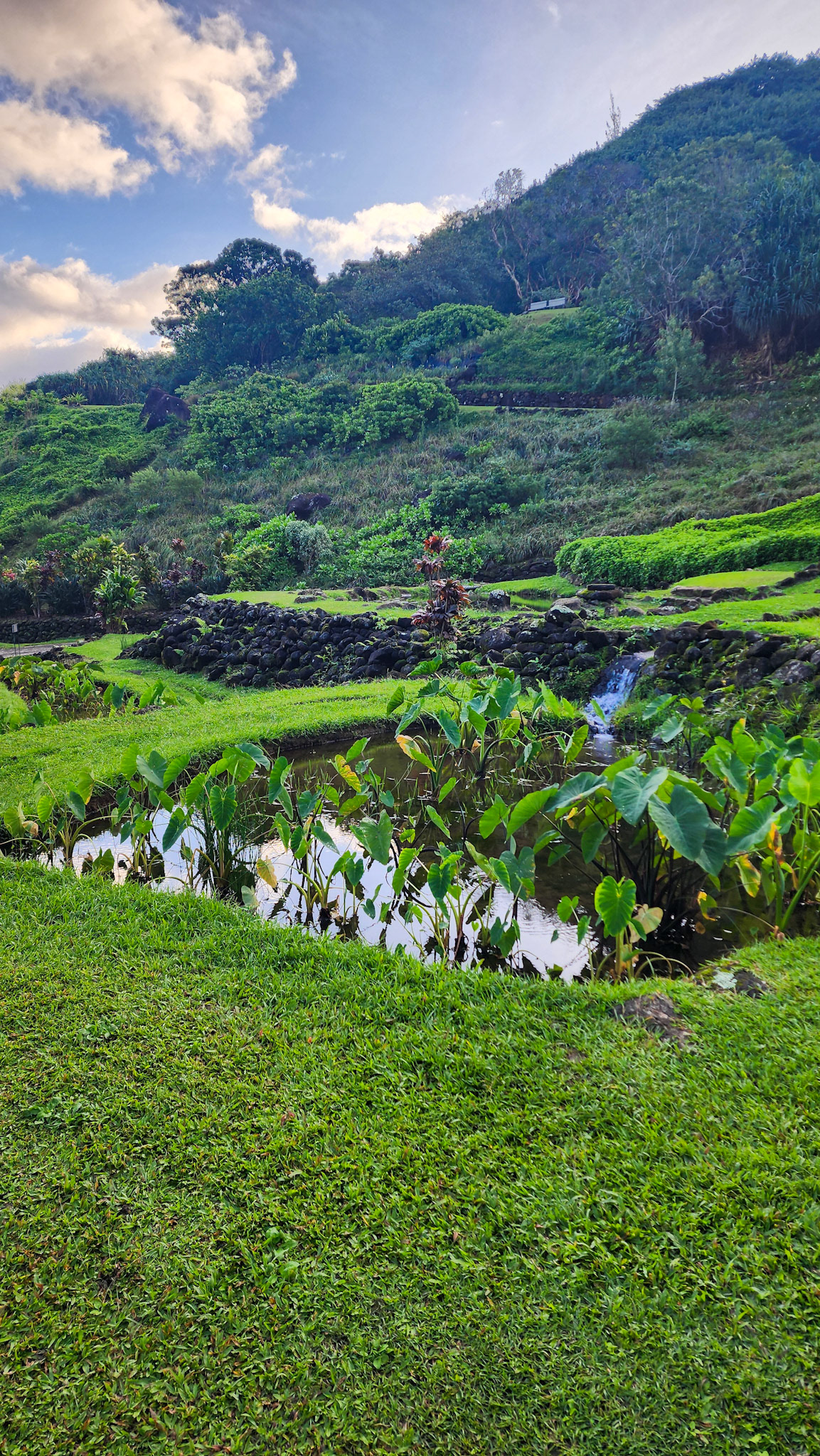 Limahuli Garden & Preserve, National Tropical Botanical Garden, Kaua'i, Hawai'i