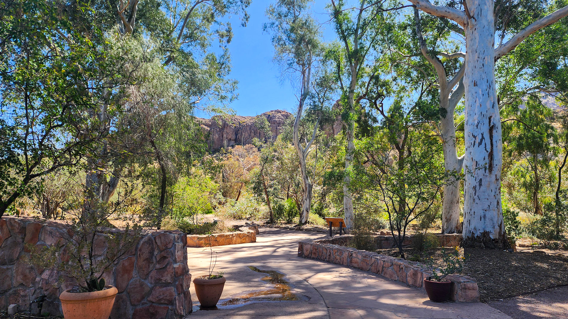 Boyce Thompson Arboretum, AZ