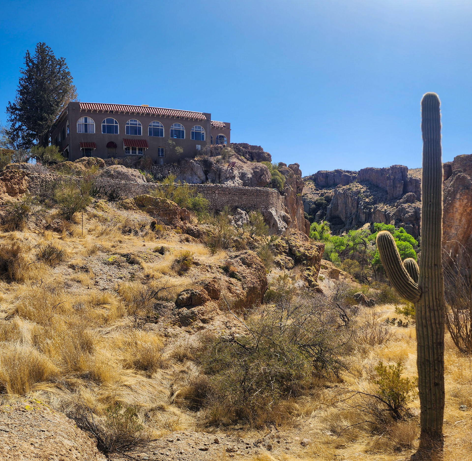 Boyce Thompson Arboretum