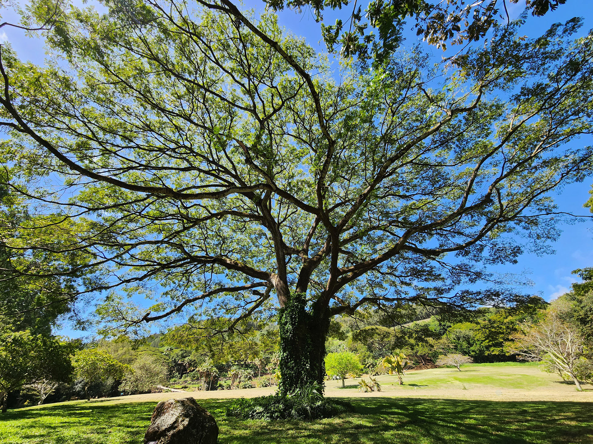 Allerton Garden, Lawai, HI