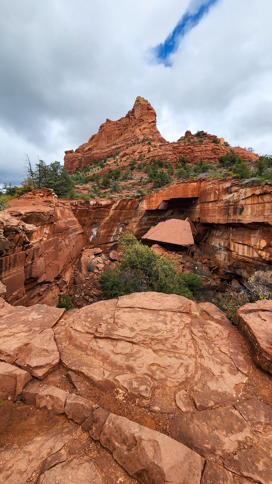 Brin Mesa Trail, Coconino National Forest, AZ