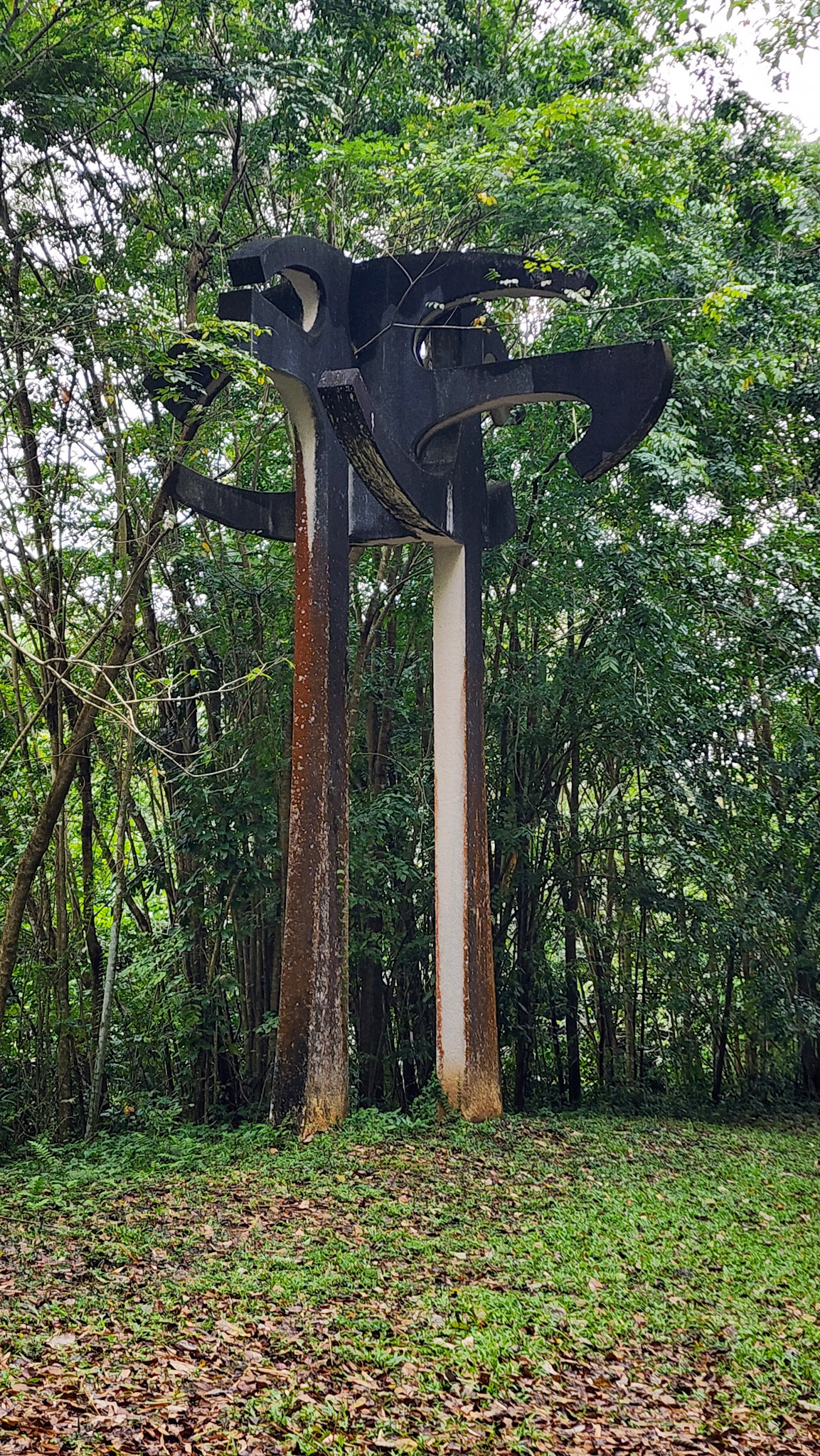 Botanical Garden in Rio Piedras