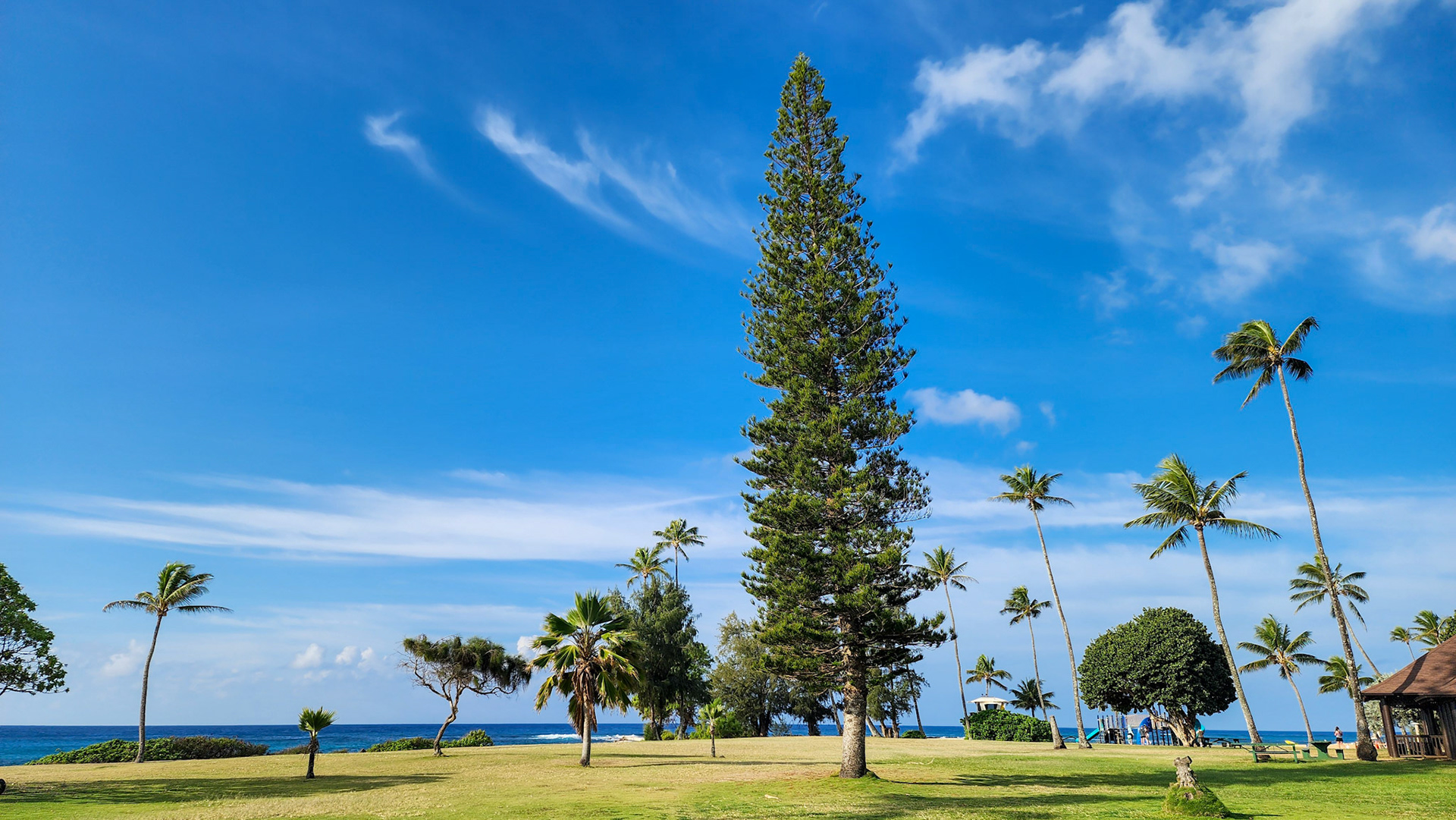 Poipu, Kaua'i, Hawai'i