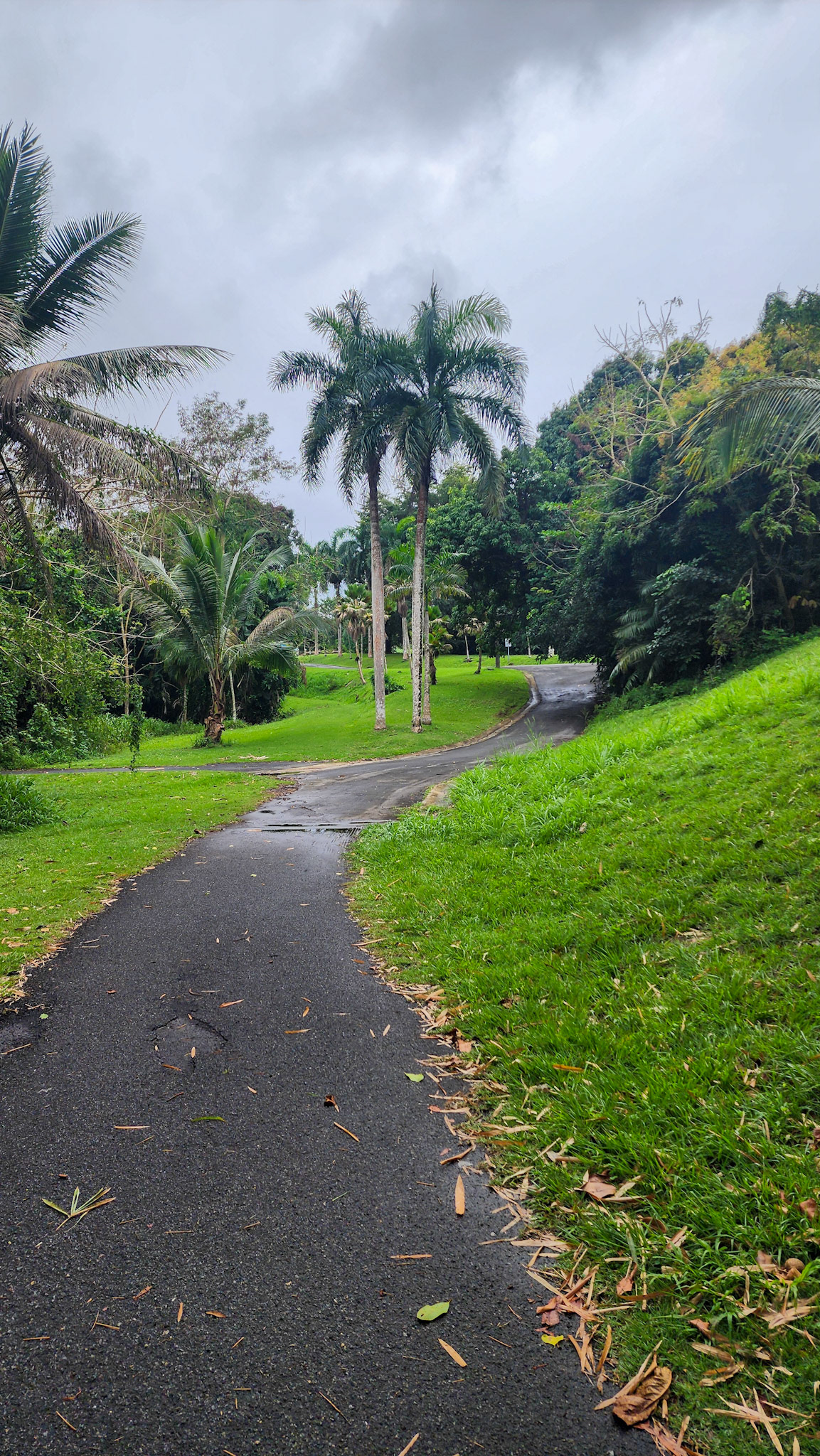 Botanical Garden in Rio Piedras