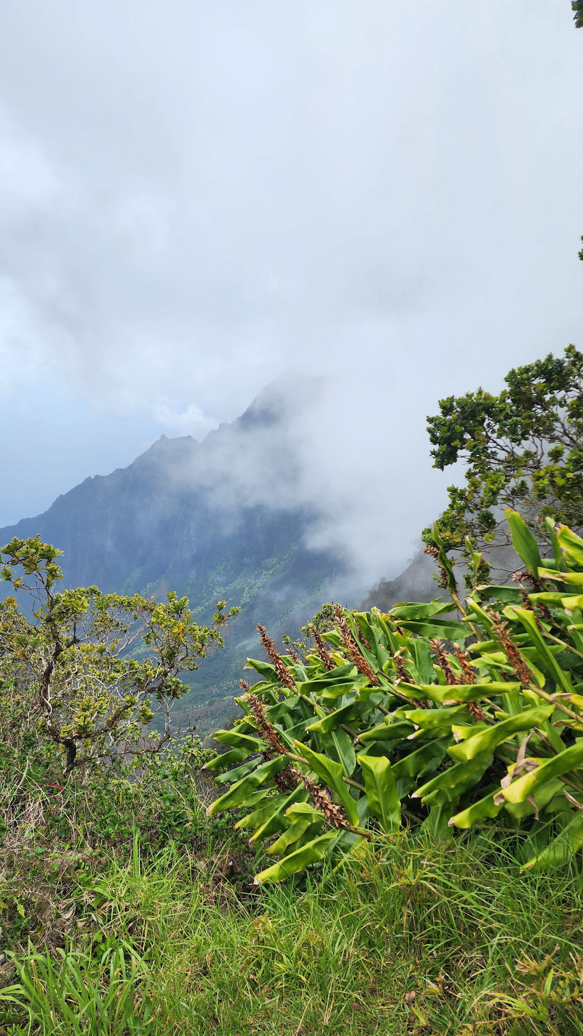 Nā Pali Coast State Wilderness Park