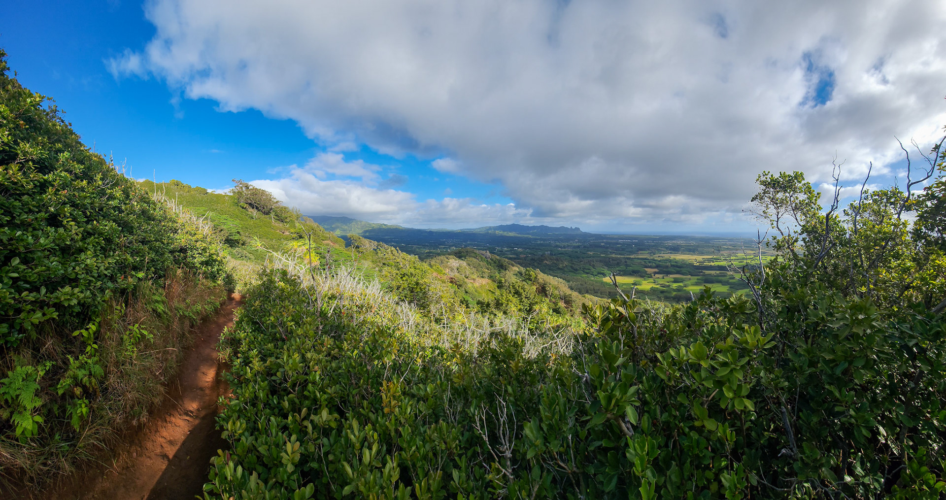 Views from the Sleeping Giant, Nounou Preserve, Kaua'i, Hawai'i