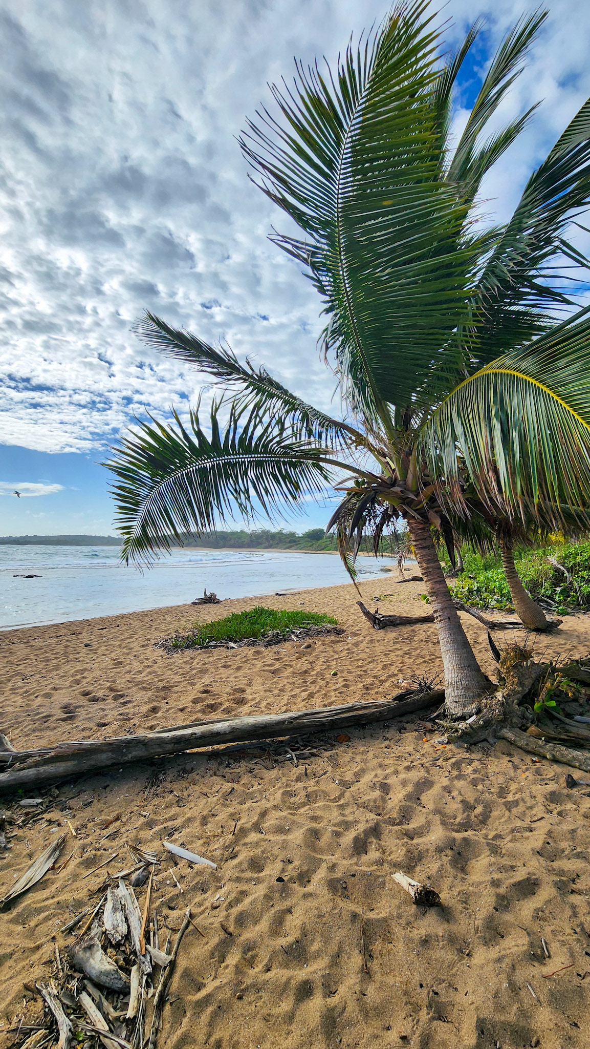 Playa La Esperanza, Barceloneta, Manati, Puerto Rico