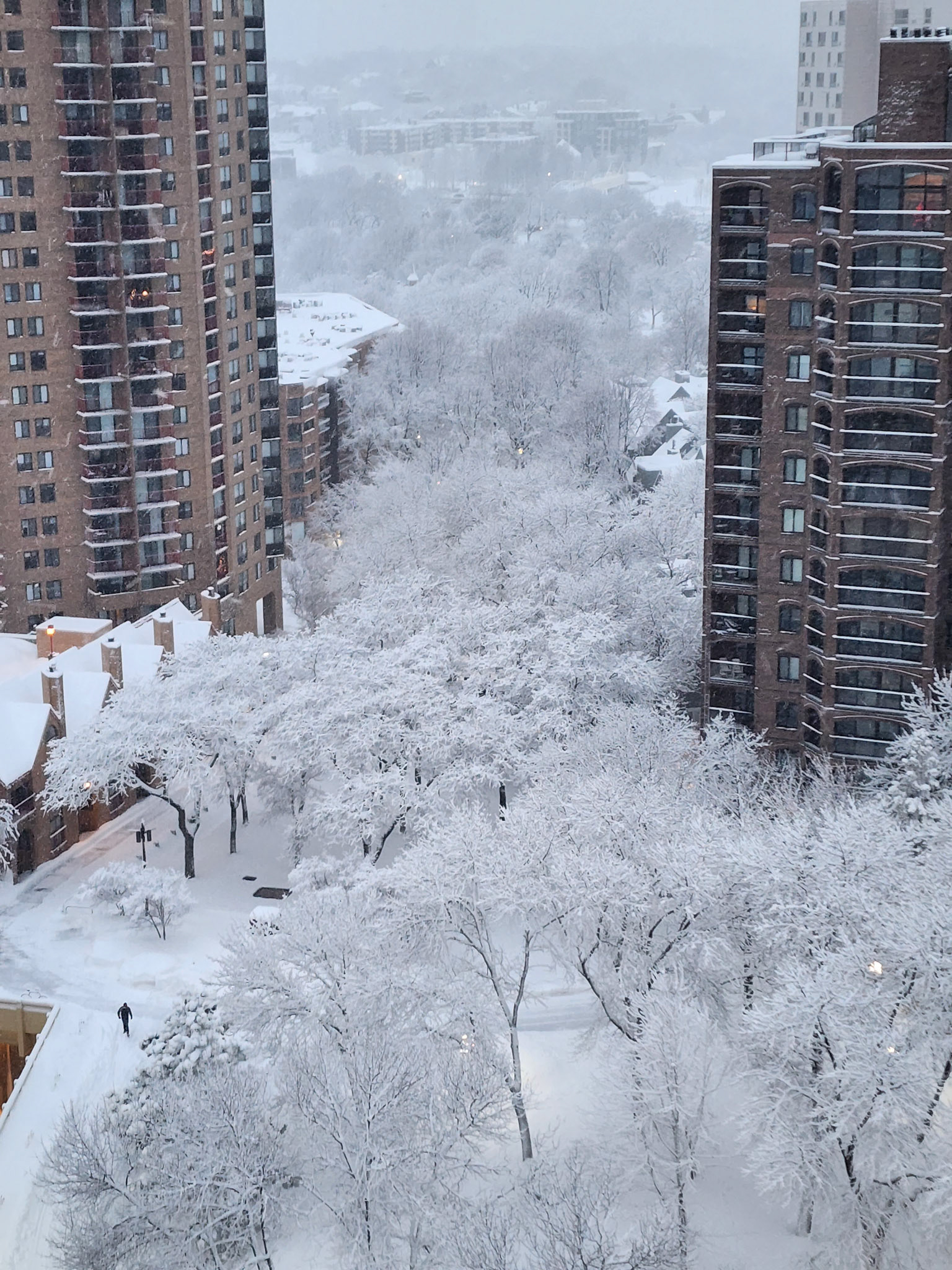 Outside my window