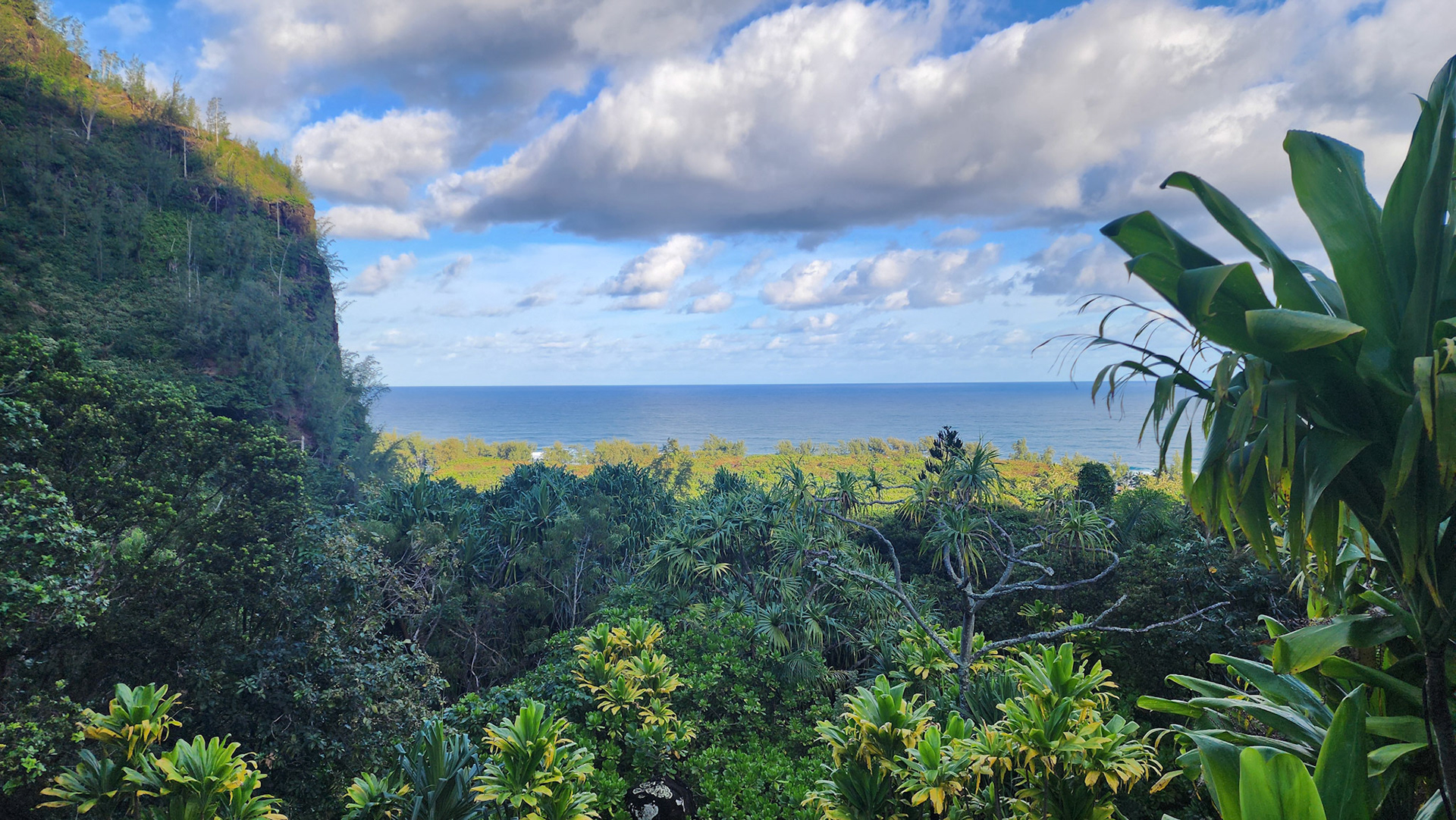 Limahuli Garden & Preserve, National Tropical Botanical Garden, Kaua'i, Hawai'i