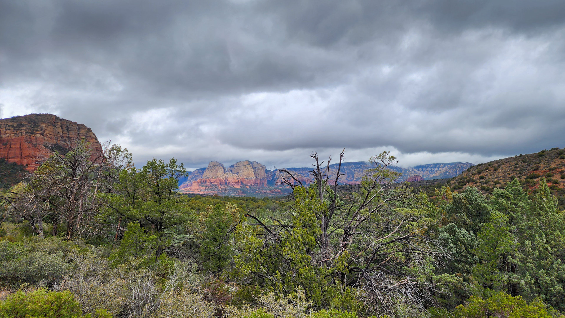 Brin Mesa Trail, Coconino National Forest, AZ