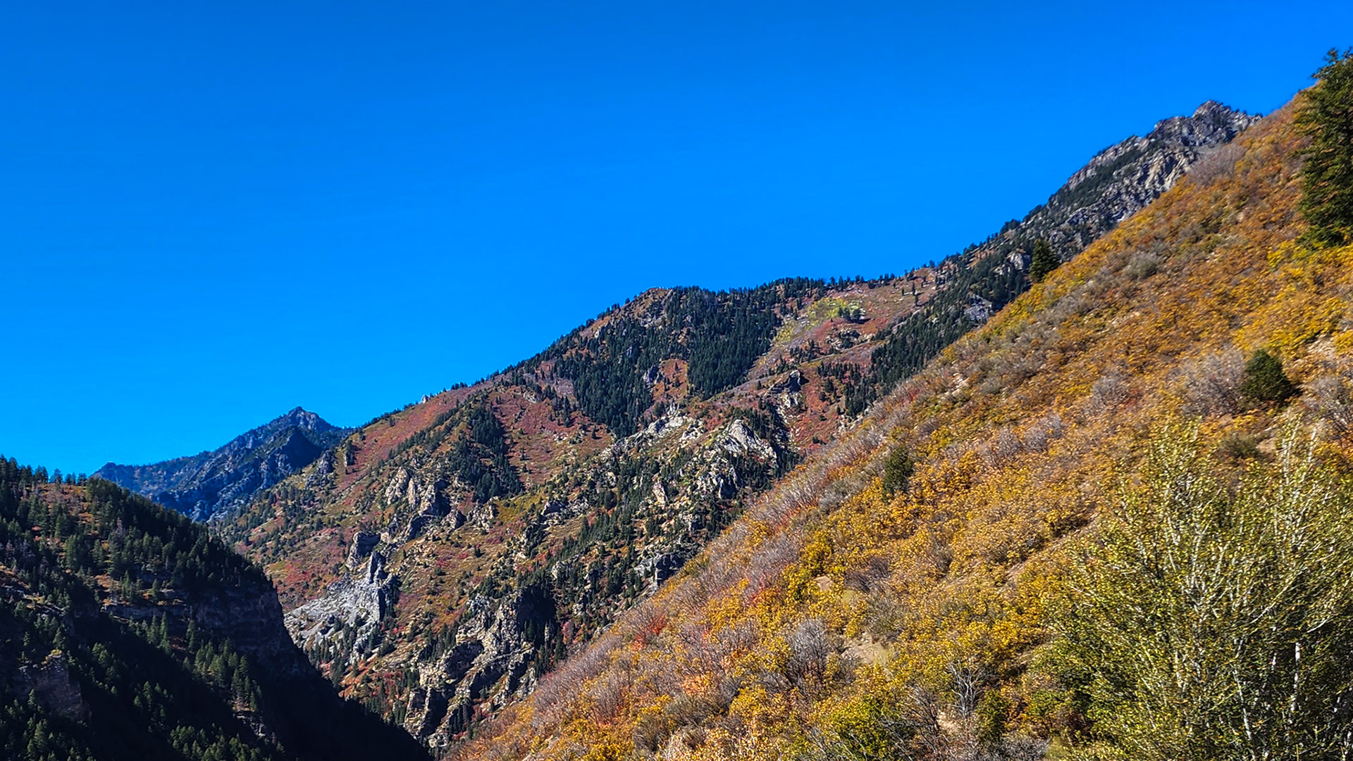 Fall colors around Mt. Timpanogos, Utah