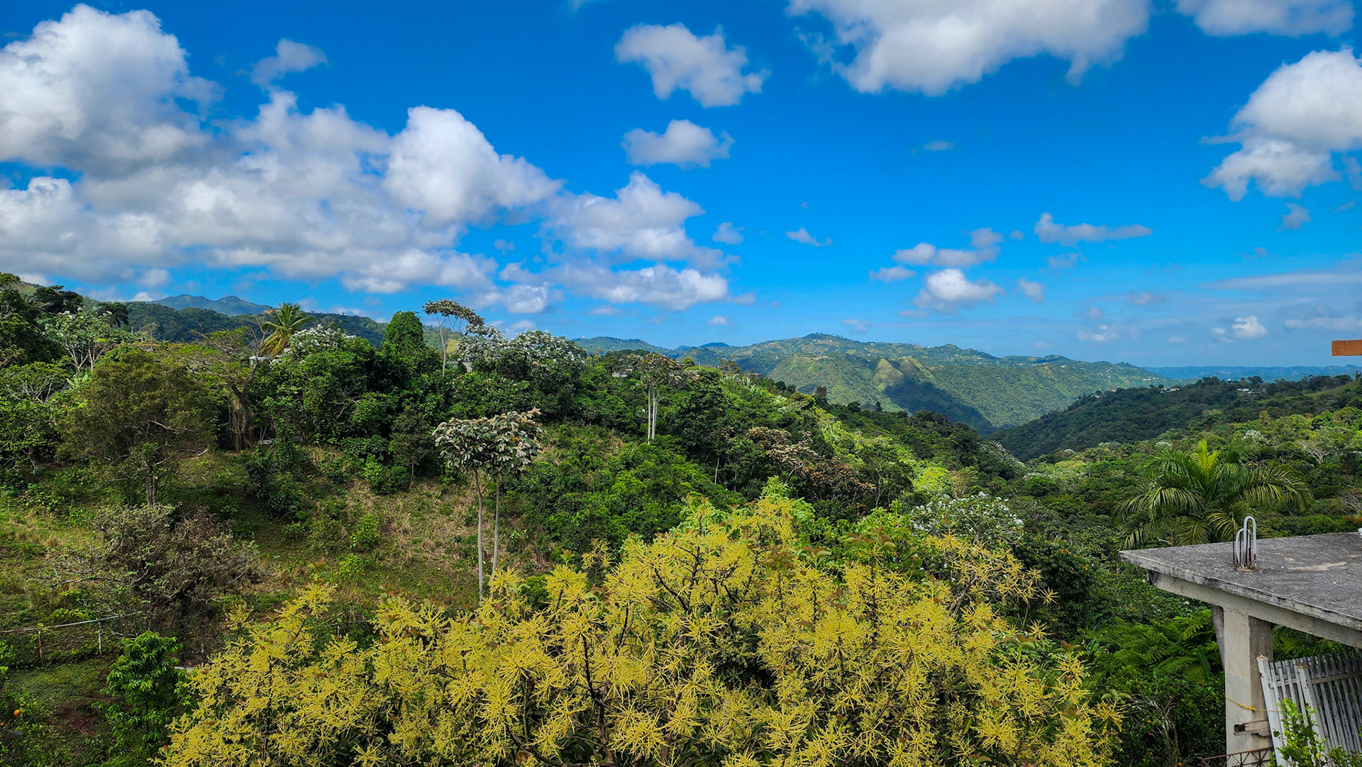 Along PR 6615, Puerto Rico