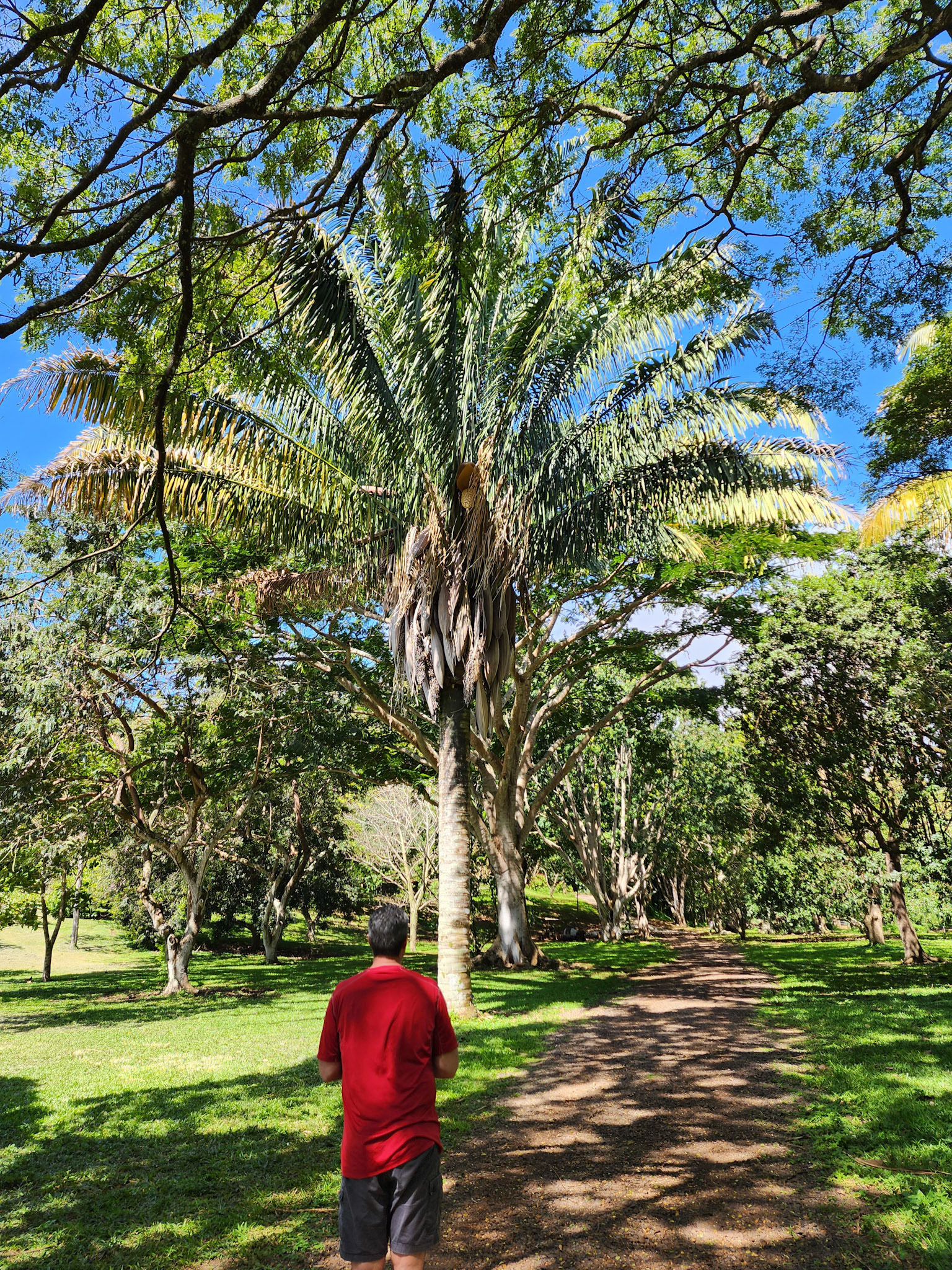 Allerton Garden, Lawai, HI