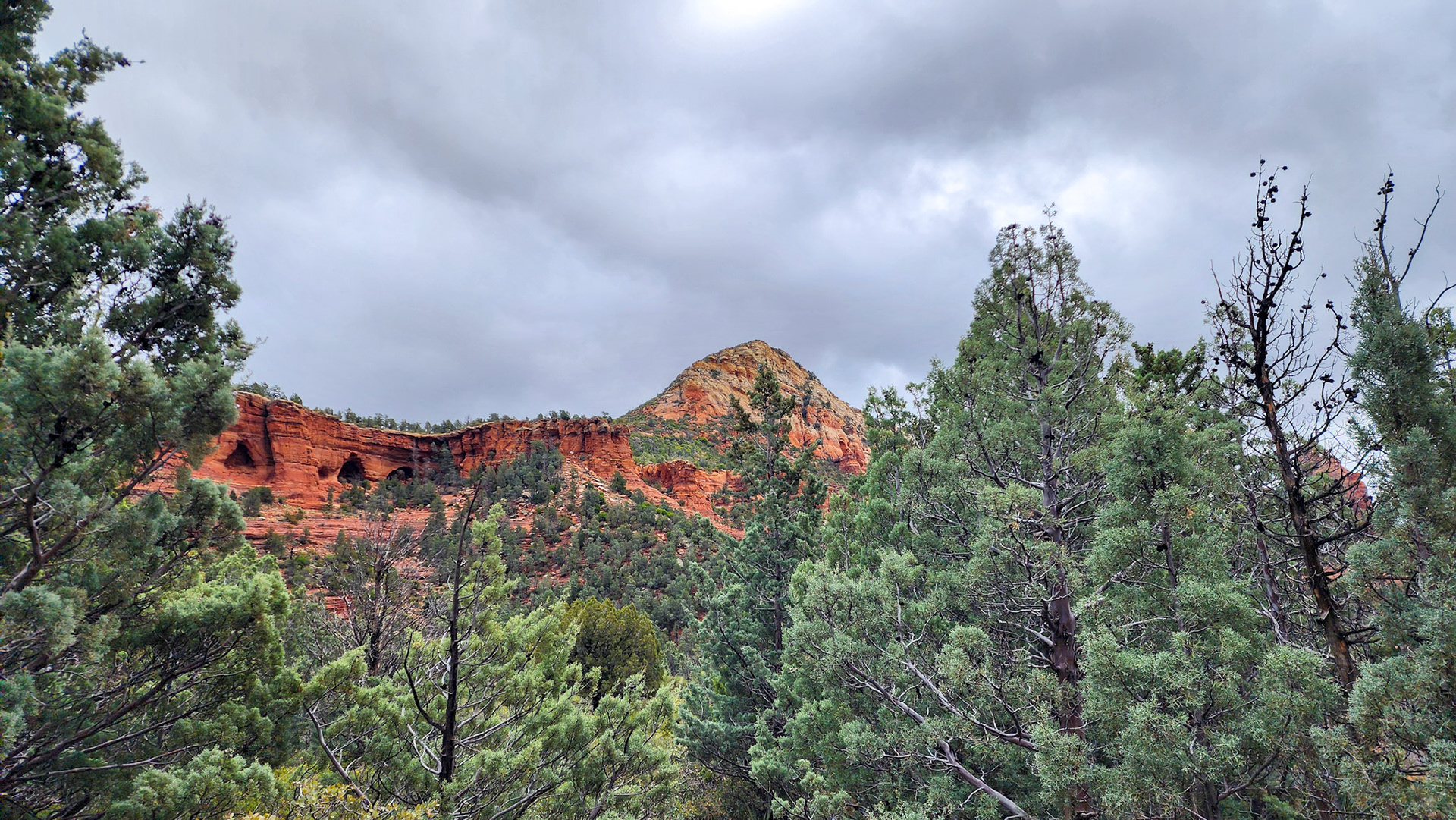 Brin Mesa Trail, Coconino National Forest, AZ