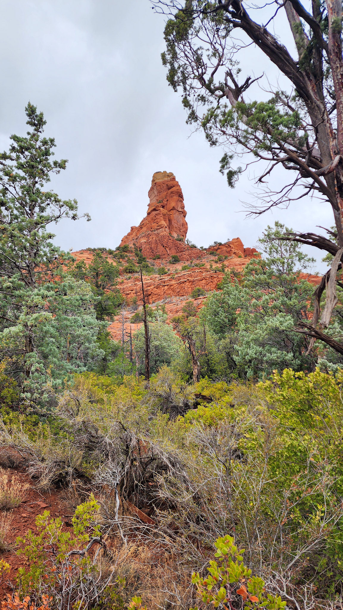 Brin Mesa Trail, Coconino National Forest, AZ
