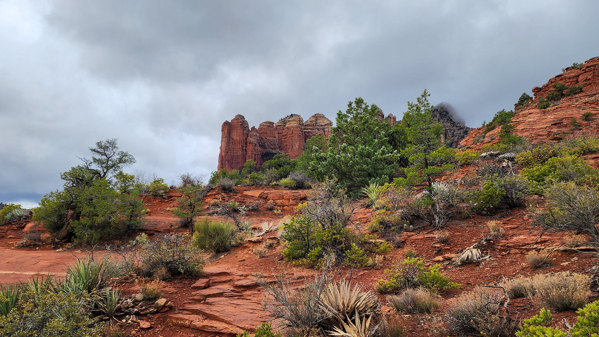 Brin Mesa Trail, Coconino National Forest, AZ