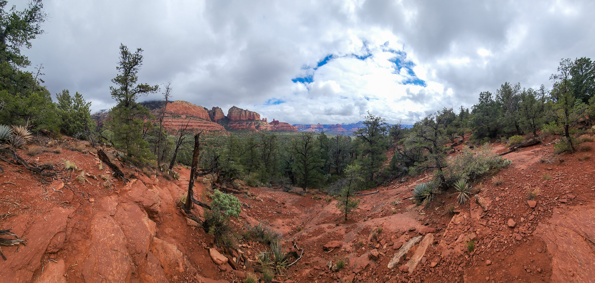 Brin Mesa Trail, Coconino National Forest, AZ