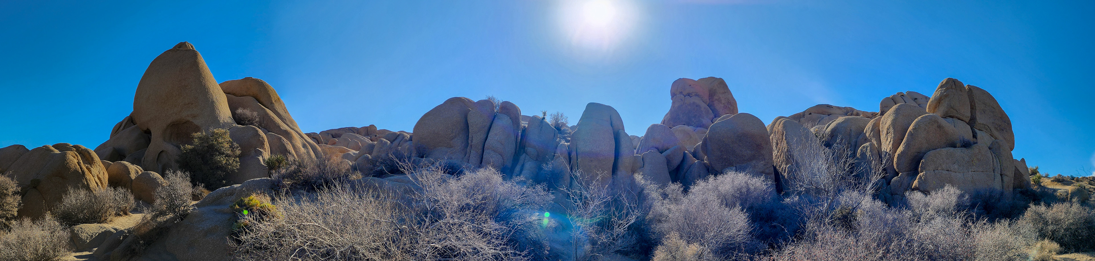 Skull Rock Area