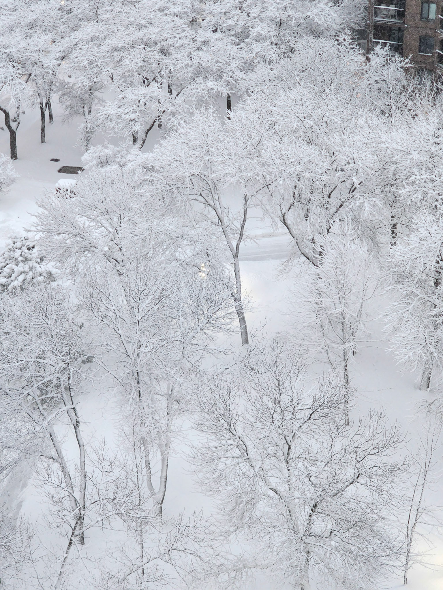 Outside my window