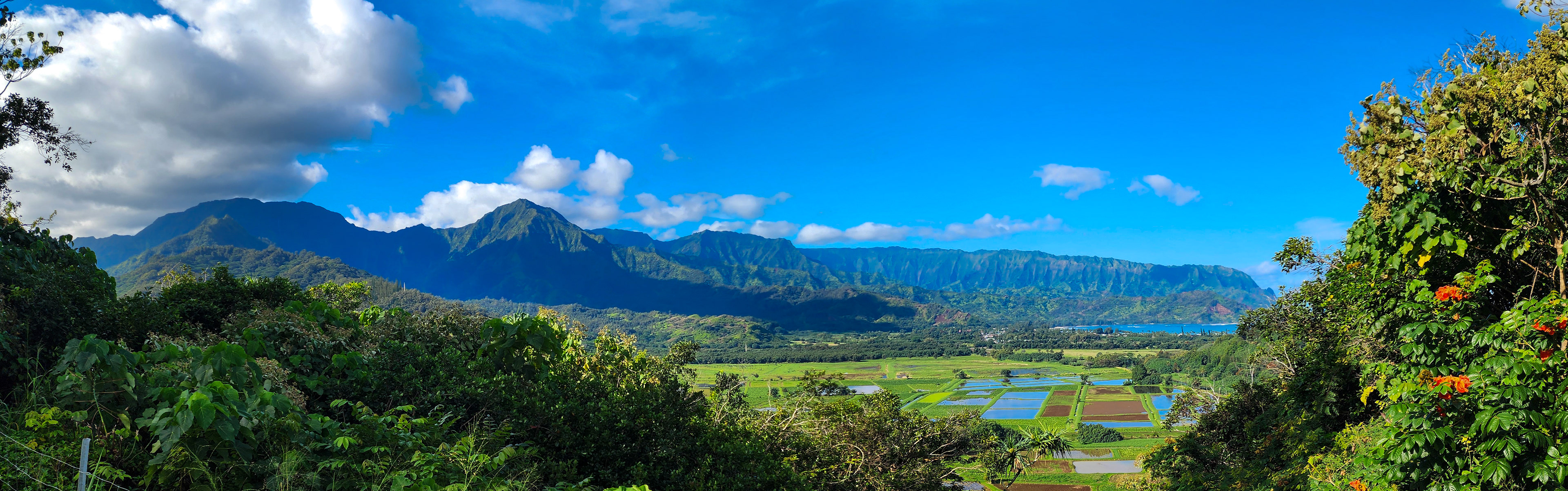 Hanalei National Wildlife Refuge Viewpoint, Kaua'i, Hawai'i