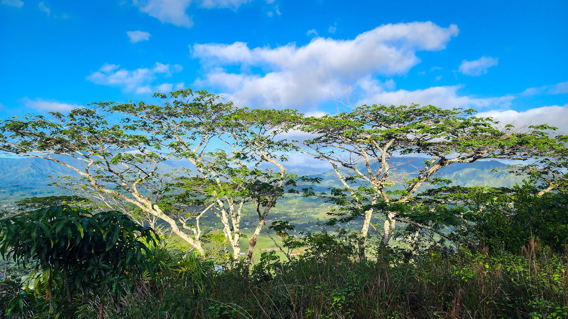 Views from the Sleeping Giant, Nounou Preserve, Kaua'i, Hawai'i