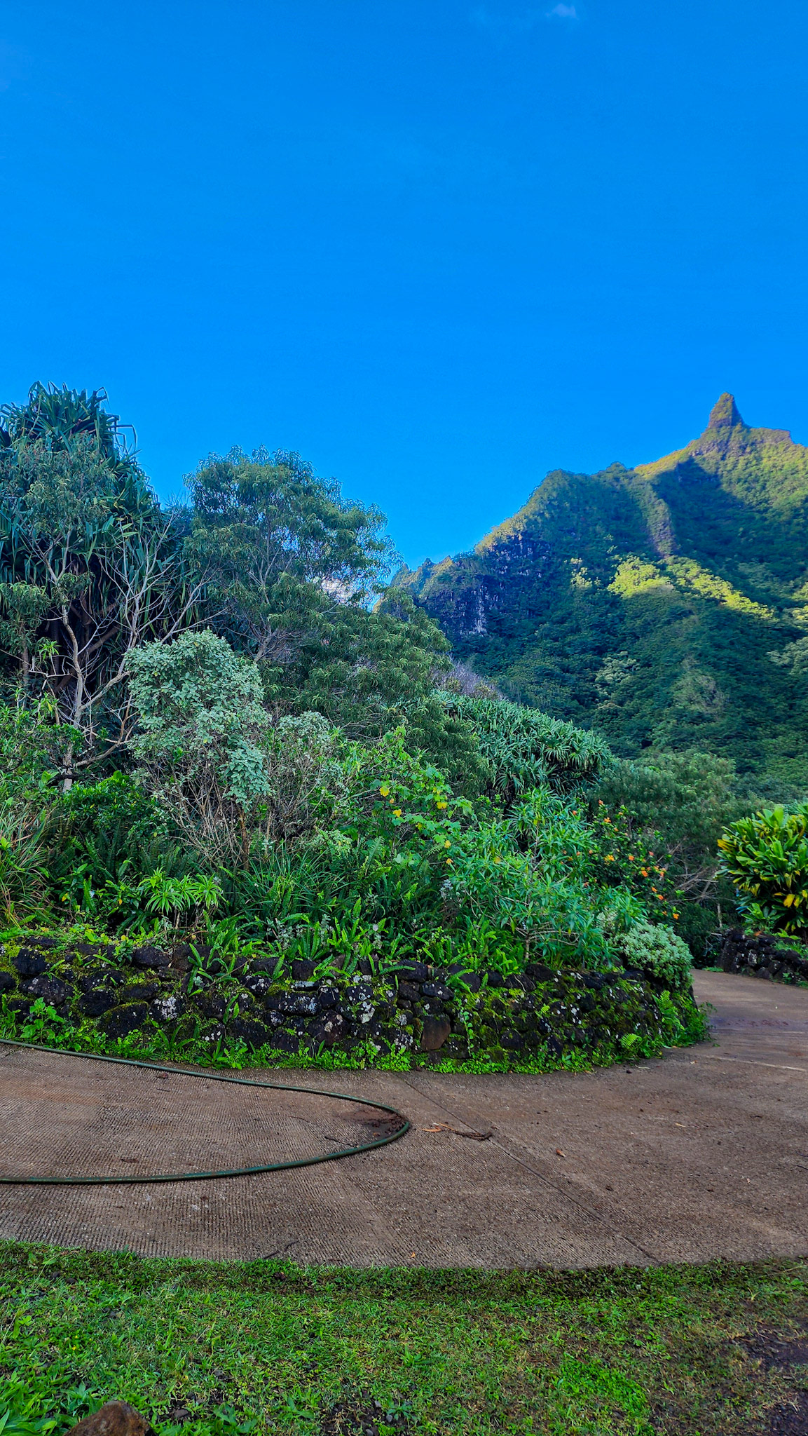 Limahuli Garden & Preserve, National Tropical Botanical Garden, Kaua'i, Hawai'i