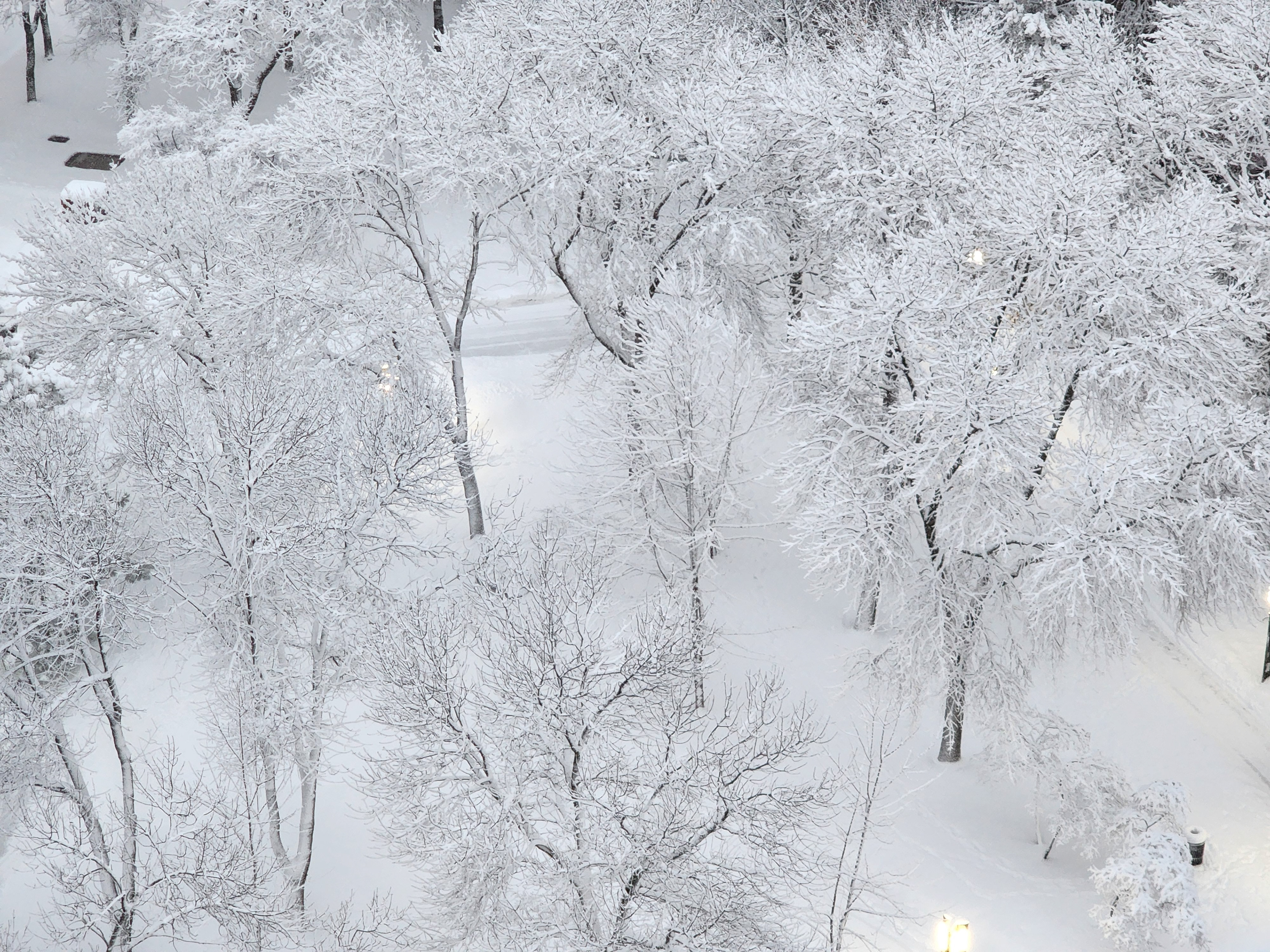 Outside my window