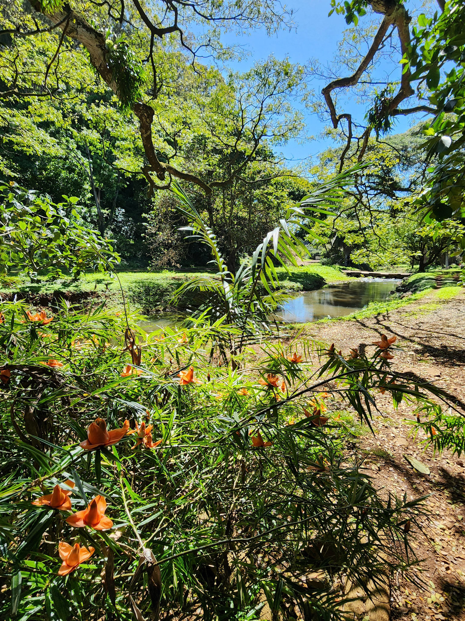 Allerton Garden, Lawai, HI