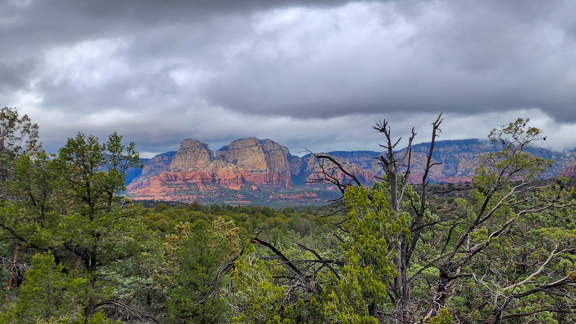 Brin Mesa Trail, Coconino National Forest, AZ