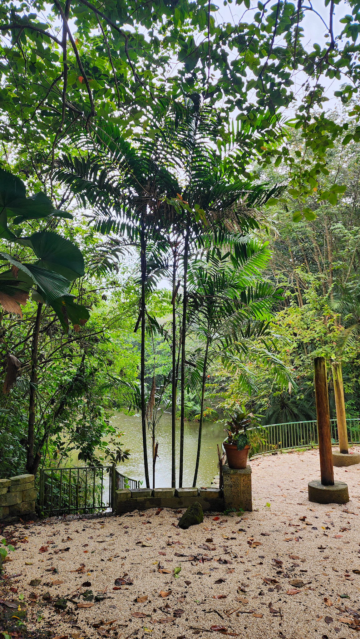 Botanical Garden in Rio Piedras