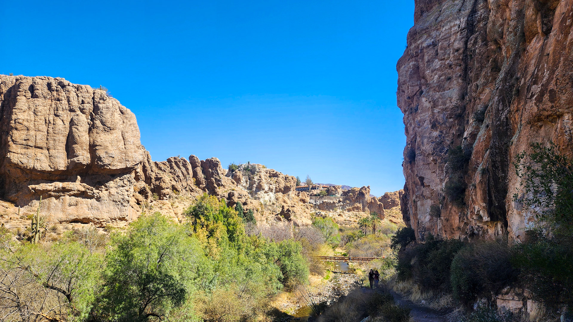 Boyce Thompson Arboretum