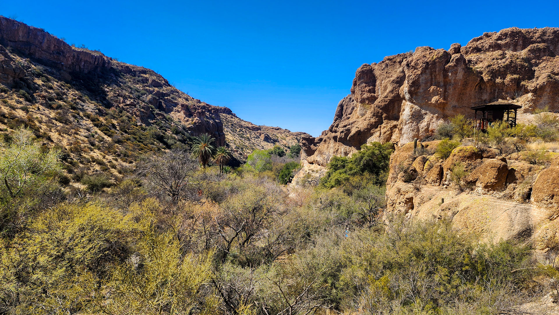 Boyce Thompson Arboretum