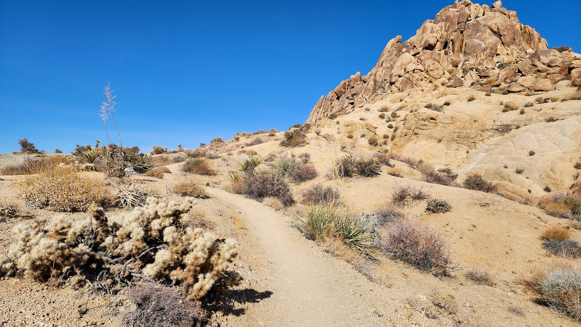 Mastodon Peak Area
